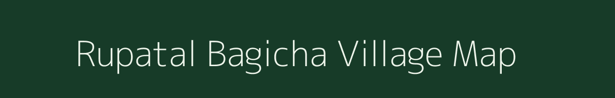 Rupatal Bagicha village map in Assam