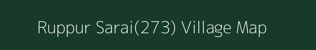 Ruppur Sarai(273) village map in Haryana