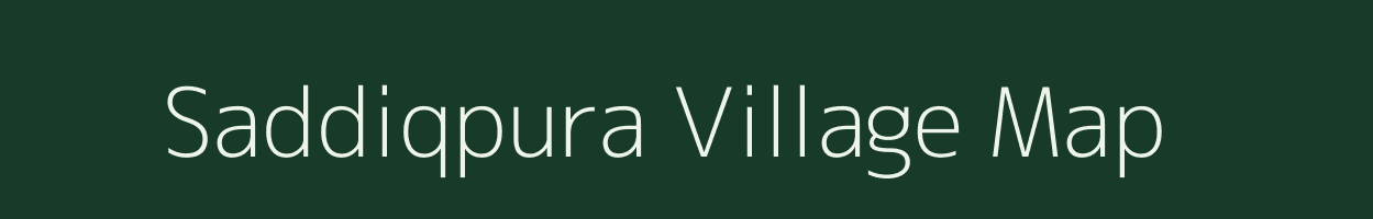 Saddiqpura village map in Rajasthan