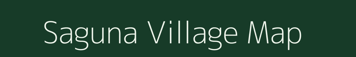 Saguna village map in Chhattisgarh