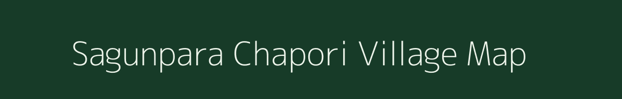 Sagunpara Chapori village map in Assam