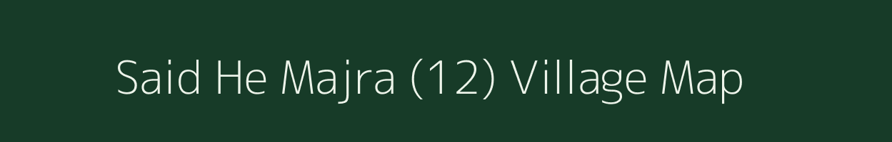 Said He Majra (12) village map in Punjab