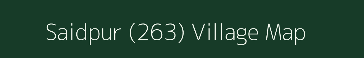 Saidpur (263) village map in Punjab