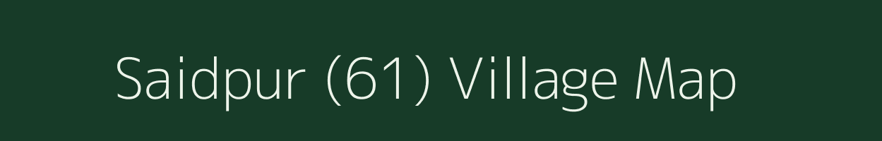 Saidpur (61) village map in Punjab