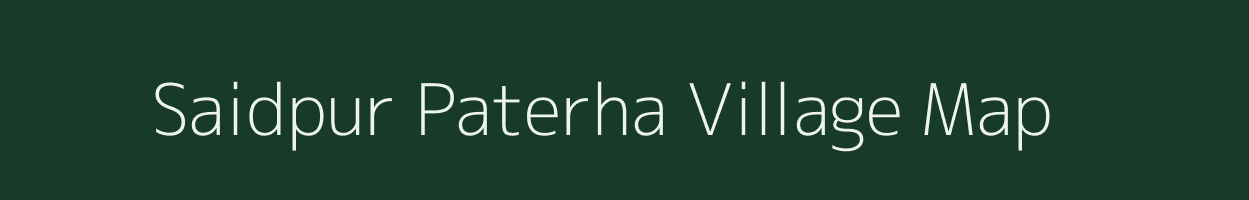 Saidpur Paterha village map in Bihar