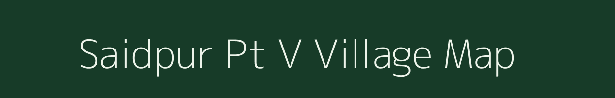 Saidpur Pt V village map in Assam