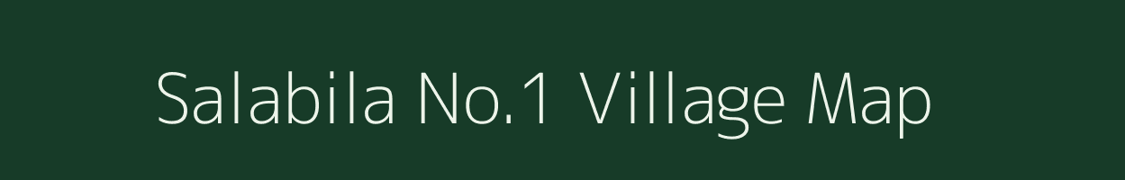 Salabila No.1 village map in Assam