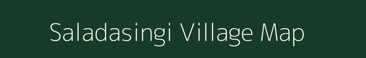 Saladasingi village map in Odisha