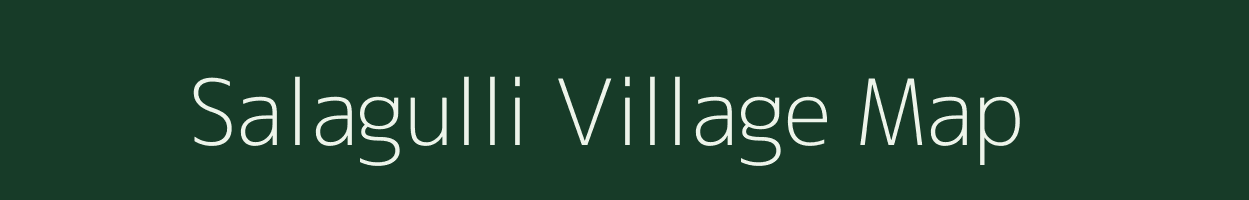 Salagulli village map in Madhya Pradesh