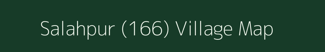 Salahpur (166) village map in Punjab