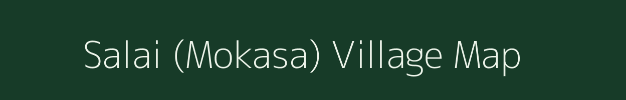 Salai (Mokasa) village map in Maharashtra