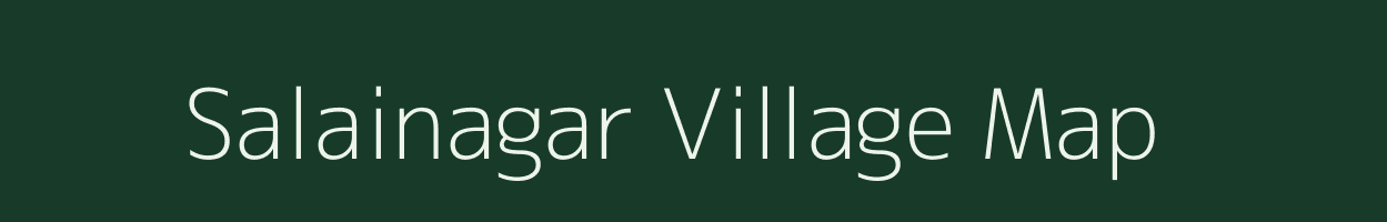 Salainagar village map in Chhattisgarh