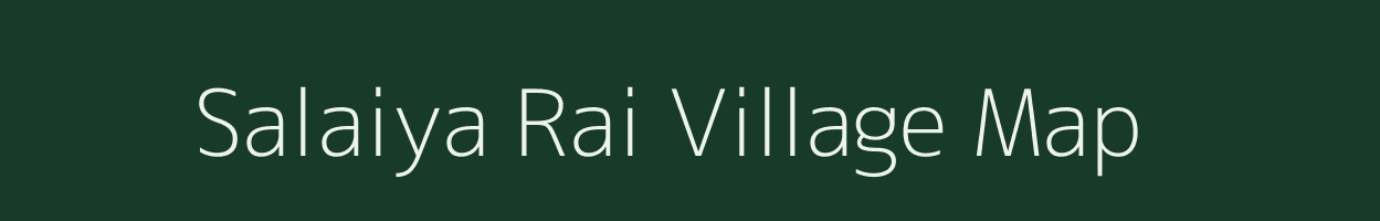 Salaiya Rai village map in Madhya Pradesh