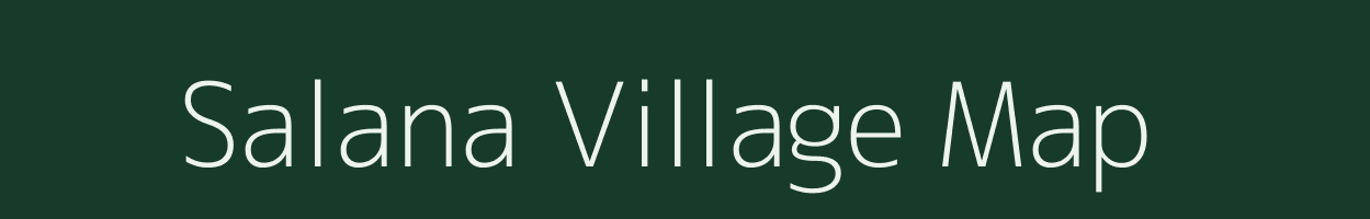 Salana village map in Assam