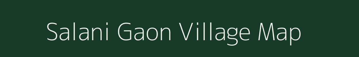 Salani Gaon village map in Assam