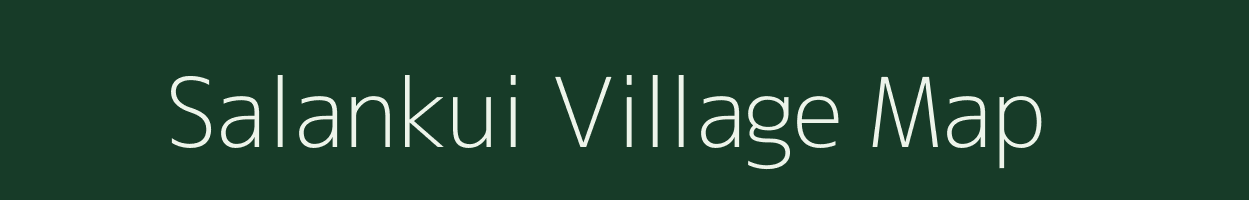 Salankui village map in Odisha