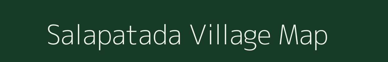 Salapatada village map in Odisha