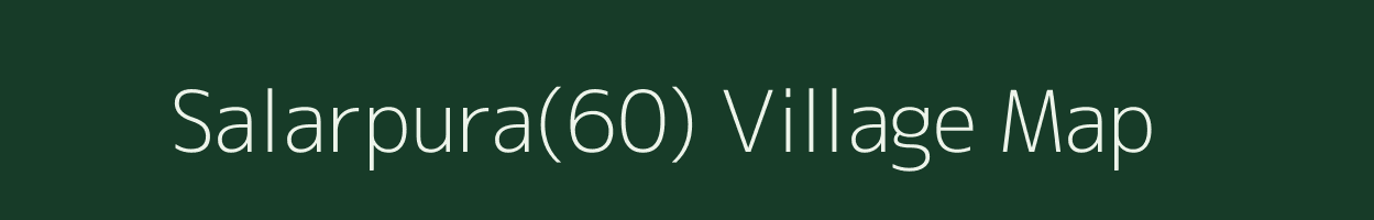 Salarpura(60) village map in Haryana