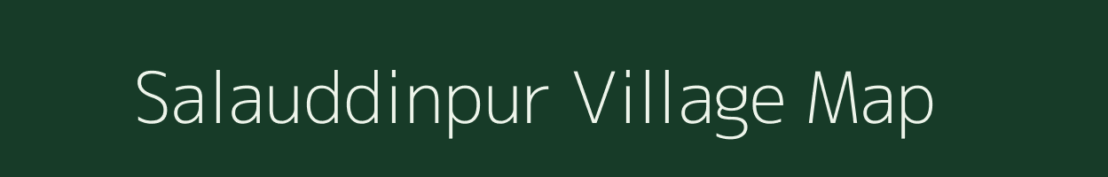 Salauddinpur village map in Uttar Pradesh