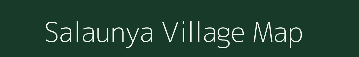 Salaunya village map in Rajasthan