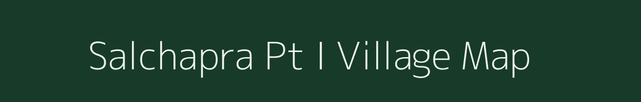 Salchapra Pt I village map in Assam