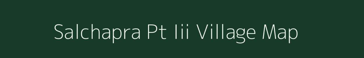 Salchapra Pt Iii village map in Assam