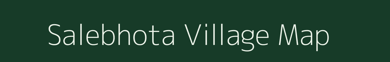 Salebhota village map in Odisha