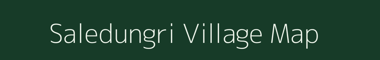 Saledungri village map in Odisha