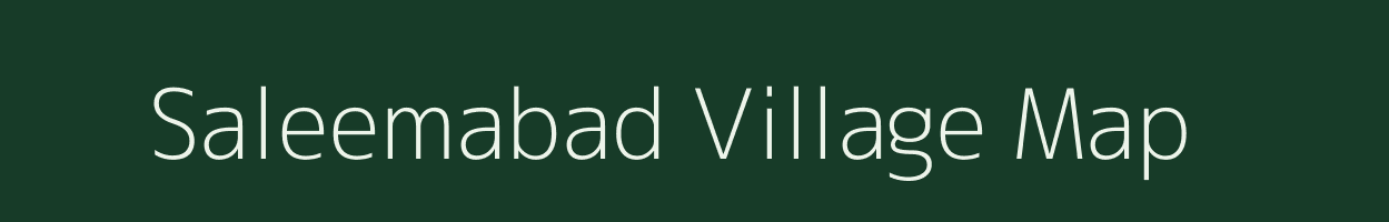 Saleemabad village map in Uttar Pradesh