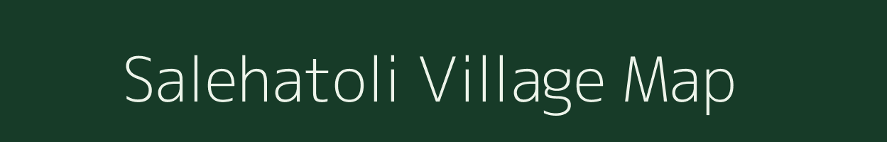 Salehatoli village map in Chhattisgarh