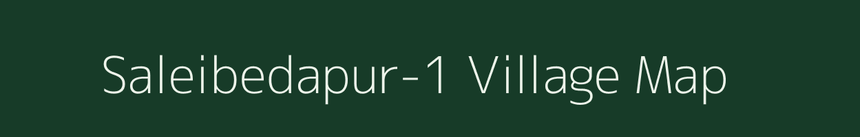 Saleibedapur-1 village map in Odisha