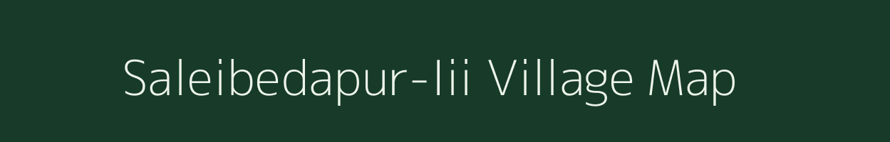 Saleibedapur-Iii village map in Odisha