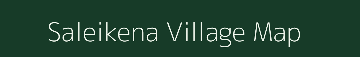 Saleikena village map in Odisha