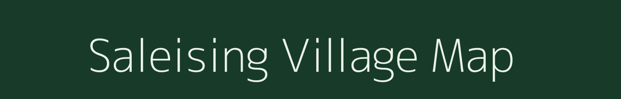 Saleising village map in Odisha