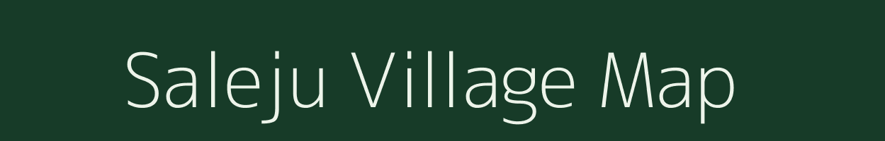 Saleju village map in Odisha