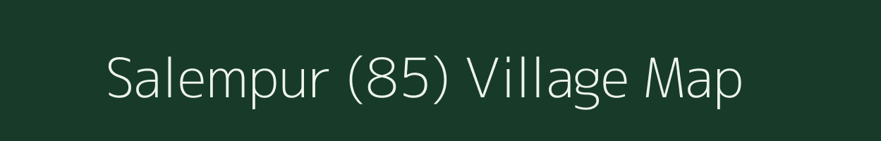 Salempur (85) village map in Haryana