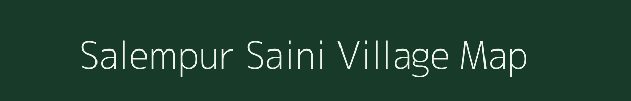 Salempur Saini village map in Bihar