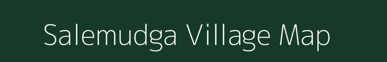 Salemudga village map in Odisha