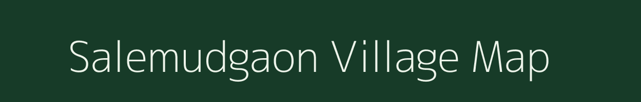 Salemudgaon village map in Odisha