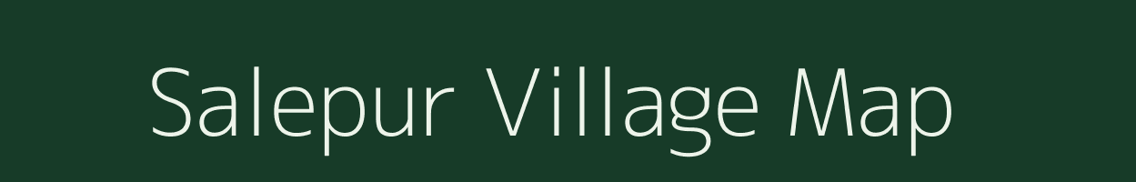 Salepur village map in Rajasthan