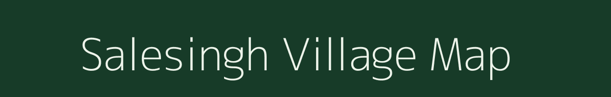 Salesingh village map in Odisha