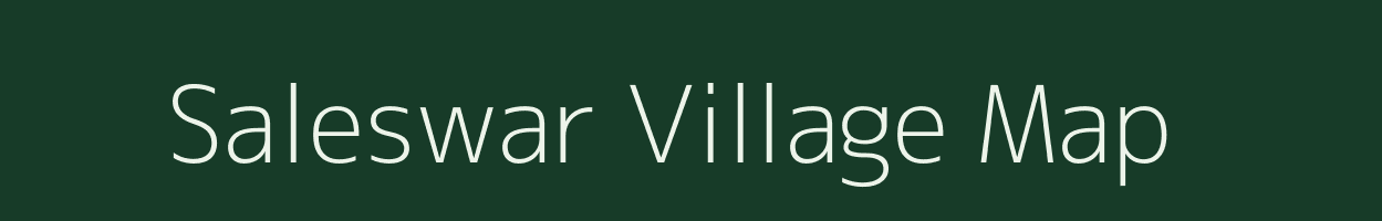 Saleswar village map in Odisha