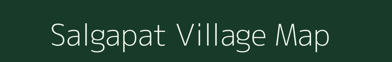 Salgapat village map in Chhattisgarh