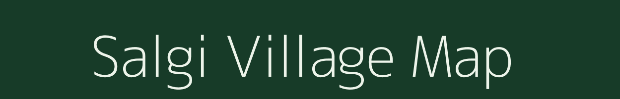 Salgi village map in Chhattisgarh