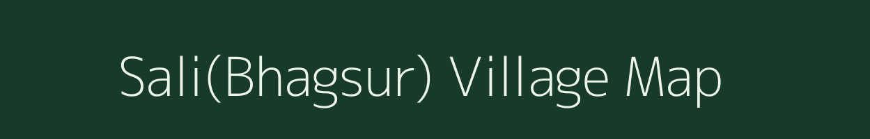 Sali(Bhagsur) village map in Madhya Pradesh