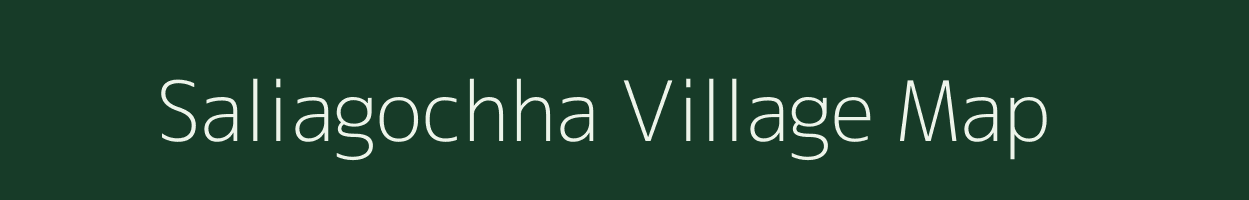 Saliagochha village map in Odisha