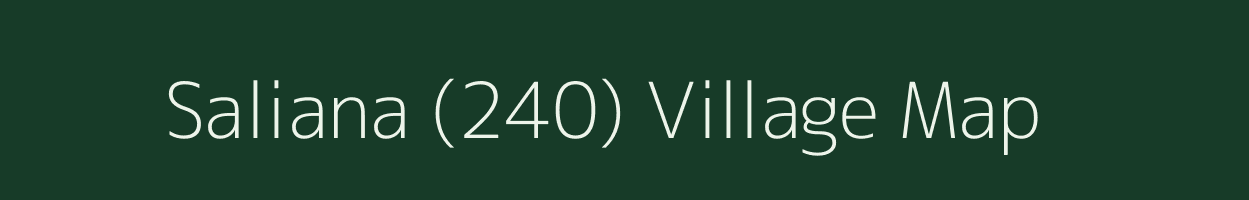 Saliana (240) village map in Himachal Pradesh