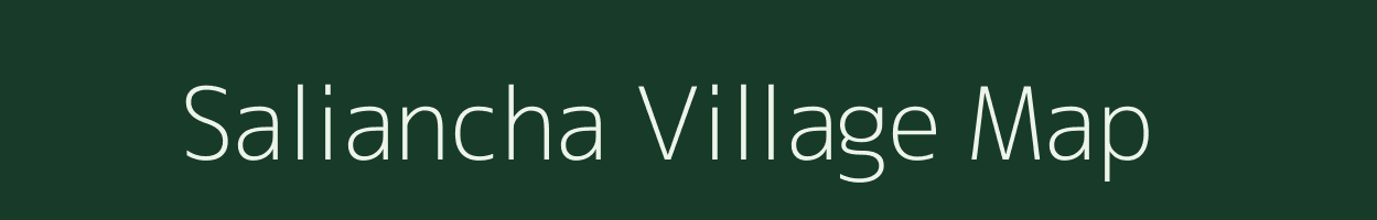 Saliancha village map in Odisha