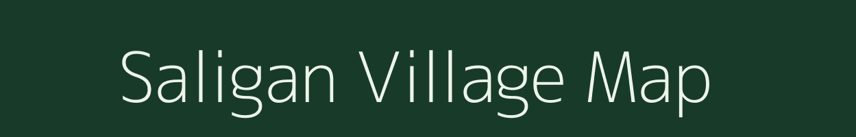 Saligan village map in Odisha