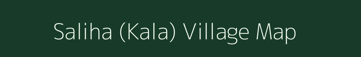 Saliha (Kala) village map in Odisha